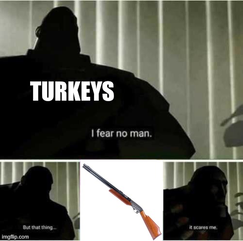 really everyone fears that thing | TURKEYS | image tagged in i fear no man,facts,thanksgiving,family,funny memes | made w/ Imgflip meme maker