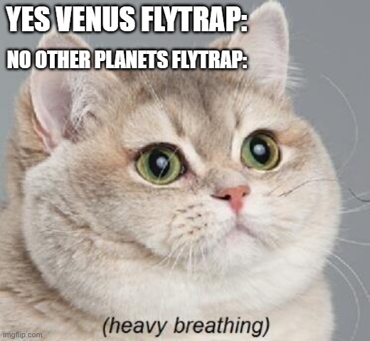 Deep thoughts within the deep | YES VENUS FLYTRAP:; NO OTHER PLANETS FLYTRAP: | image tagged in memes,heavy breathing cat,too funny | made w/ Imgflip meme maker