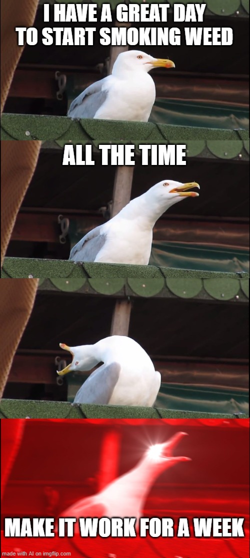 Inhaling Seagull Meme | I HAVE A GREAT DAY TO START SMOKING WEED; ALL THE TIME; MAKE IT WORK FOR A WEEK | image tagged in memes,inhaling seagull,ai meme | made w/ Imgflip meme maker