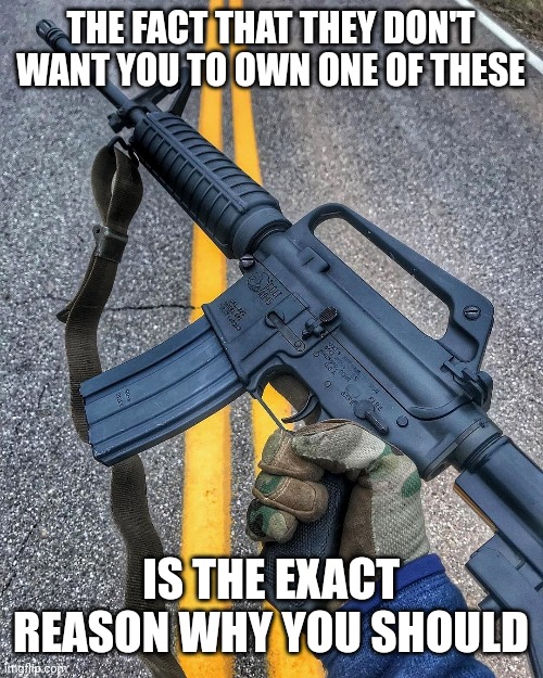 If the government doesn't want you to have it, you need it. | THE FACT THAT THEY DON'T WANT YOU TO OWN ONE OF THESE; IS THE EXACT REASON WHY YOU SHOULD | image tagged in memes | made w/ Imgflip meme maker