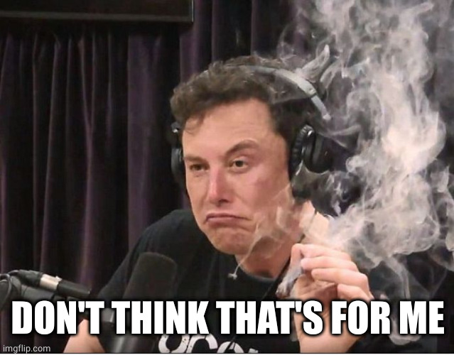 Elon Musk smoking a joint | DON'T THINK THAT'S FOR ME | image tagged in elon musk smoking a joint | made w/ Imgflip meme maker