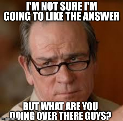 my face when someone asks a stupid question | I'M NOT SURE I'M GOING TO LIKE THE ANSWER BUT WHAT ARE YOU DOING OVER THERE GUYS? | image tagged in my face when someone asks a stupid question | made w/ Imgflip meme maker