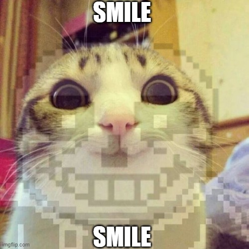 S M I L E | SMILE; SMILE | image tagged in smile | made w/ Imgflip meme maker