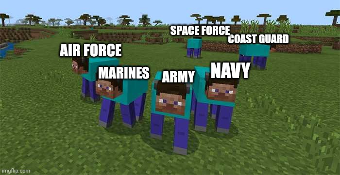 All branches of the military are great, but idk whatbthe space force does. Still, thank you for your service! | SPACE FORCE; COAST GUARD; AIR FORCE; NAVY; MARINES; ARMY | image tagged in army,navy,air force,marines,coast guard,space force | made w/ Imgflip meme maker