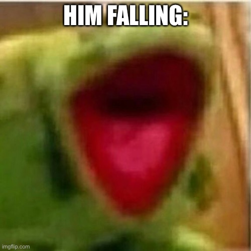 AHHHHHHHHHHHHH | HIM FALLING: | image tagged in ahhhhhhhhhhhhh | made w/ Imgflip meme maker