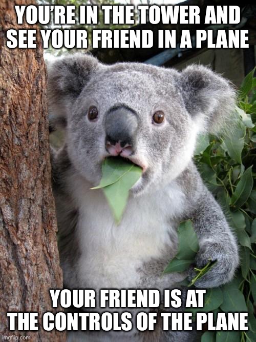 Surprised Koala | YOU’RE IN THE TOWER AND SEE YOUR FRIEND IN A PLANE; YOUR FRIEND IS AT THE CONTROLS OF THE PLANE | image tagged in memes,surprised koala | made w/ Imgflip meme maker