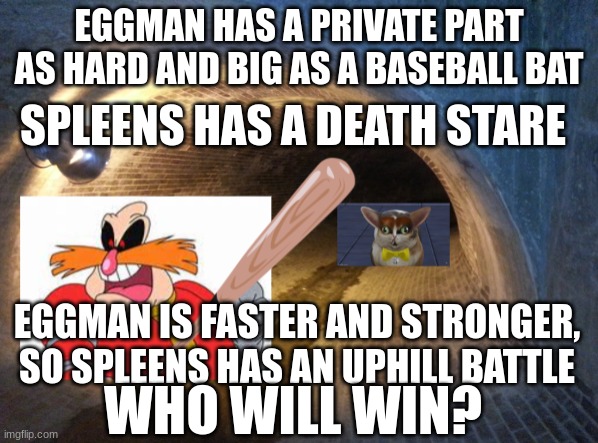 EGGMAN HAS A PRIVATE PART AS HARD AND BIG AS A BASEBALL BAT; SPLEENS HAS A DEATH STARE; EGGMAN IS FASTER AND STRONGER, SO SPLEENS HAS AN UPHILL BATTLE; WHO WILL WIN? | made w/ Imgflip meme maker