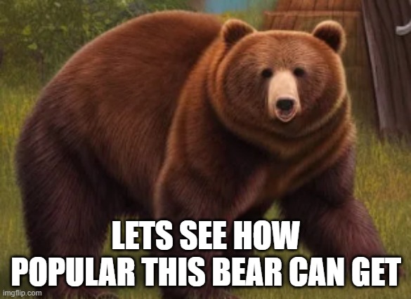lets see | LETS SEE HOW POPULAR THIS BEAR CAN GET | image tagged in bear,bear with me,popular,memes,1st page | made w/ Imgflip meme maker