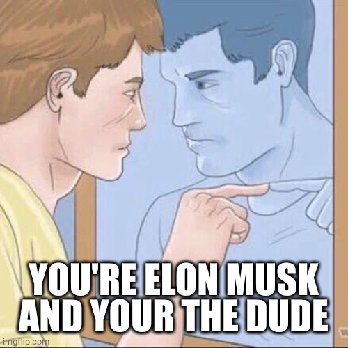Pointing mirror guy | YOU'RE ELON MUSK AND YOUR THE DUDE | image tagged in pointing mirror guy | made w/ Imgflip meme maker