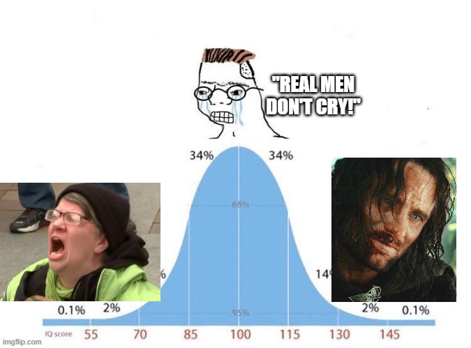 bell curve | "REAL MEN DON'T CRY!" | image tagged in bell curve,crying,liberals,red pill,conservatives,lord of the rings | made w/ Imgflip meme maker