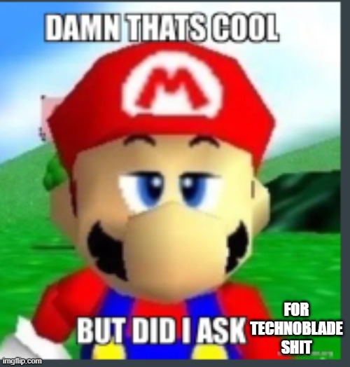 Damn that's cool, but did I ask? | FOR TECHNOBLADE SHIT | image tagged in damn that's cool but did i ask | made w/ Imgflip meme maker