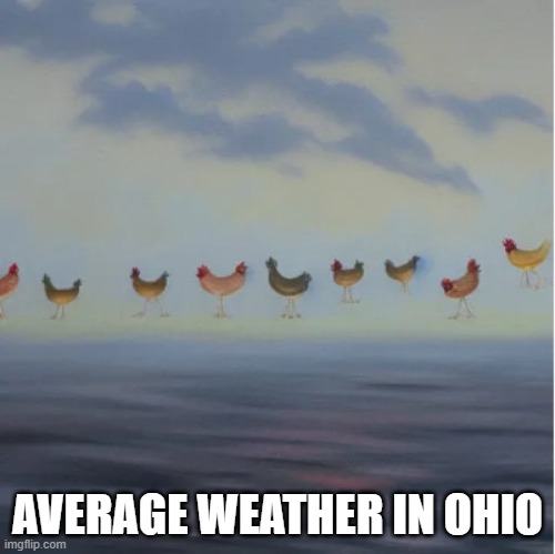Ohio do be like that | AVERAGE WEATHER IN OHIO | image tagged in ohio,chicken,hold up,weather | made w/ Imgflip meme maker