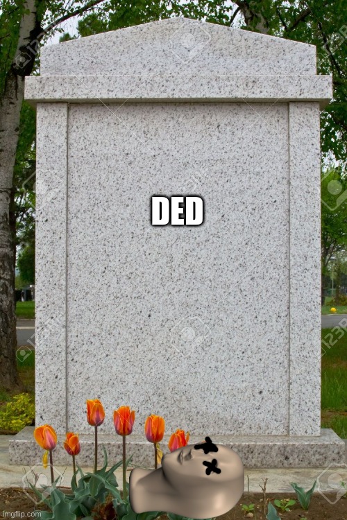 blank gravestone | DED | image tagged in blank gravestone | made w/ Imgflip meme maker