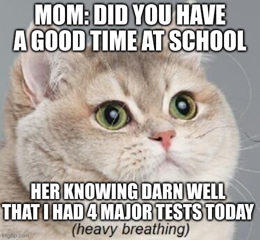 Heavy Breathing Cat | MOM: DID YOU HAVE A GOOD TIME AT SCHOOL; HER KNOWING DARN WELL THAT I HAD 4 MAJOR TESTS TODAY | image tagged in memes,heavy breathing cat | made w/ Imgflip meme maker