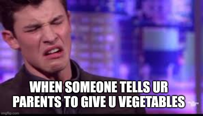 Vegetables Shawn Mendes | WHEN SOMEONE TELLS UR PARENTS TO GIVE U VEGETABLES | image tagged in when someone tells you i hate shawn mendes | made w/ Imgflip meme maker