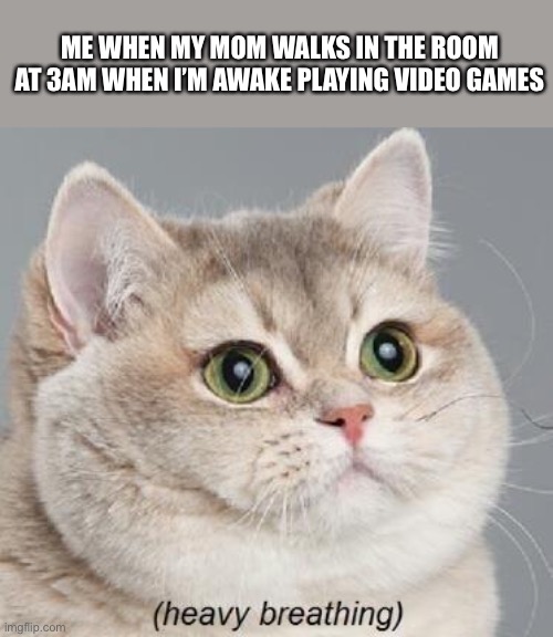 yes no | ME WHEN MY MOM WALKS IN THE ROOM AT 3AM WHEN I’M AWAKE PLAYING VIDEO GAMES | image tagged in memes,heavy breathing cat | made w/ Imgflip meme maker