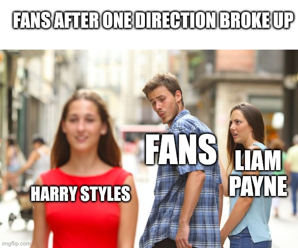Fans after one direction broke up | FANS AFTER ONE DIRECTION BROKE UP; FANS; LIAM PAYNE; HARRY STYLES | image tagged in memes,distracted boyfriend | made w/ Imgflip meme maker