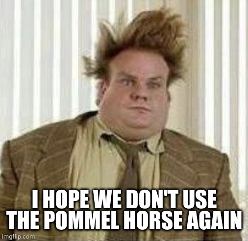 Wild hair | I HOPE WE DON'T USE THE POMMEL HORSE AGAIN | image tagged in wild hair | made w/ Imgflip meme maker