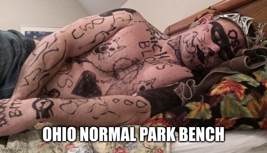 Michigan Fan Passed Out at Ohio State | OHIO NORMAL PARK BENCH | image tagged in michigan fan passed out at ohio state | made w/ Imgflip meme maker
