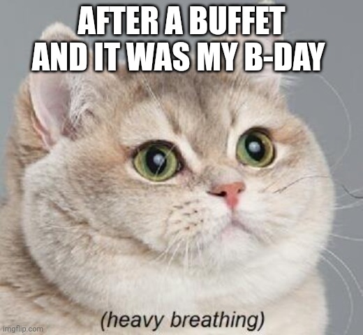 Heavy Breathing Cat | AFTER A BUFFET AND IT WAS MY B-DAY | image tagged in memes,heavy breathing cat | made w/ Imgflip meme maker