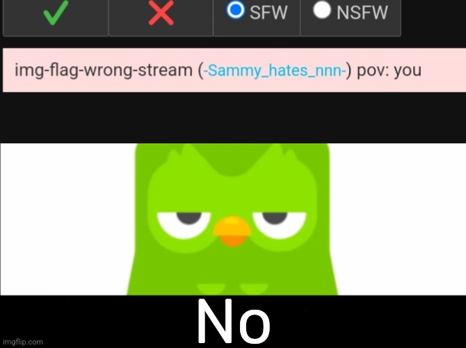 No | image tagged in duolingo was unimpressed | made w/ Imgflip meme maker