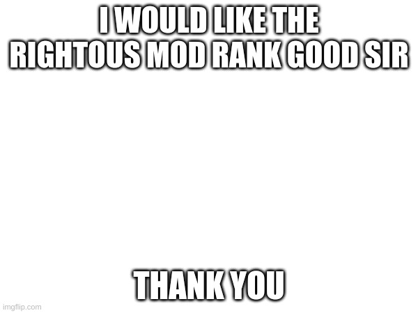 Plz | I WOULD LIKE THE RIGHTEOUS MOD RANK GOOD SIR; THANK YOU | image tagged in blank white template | made w/ Imgflip meme maker