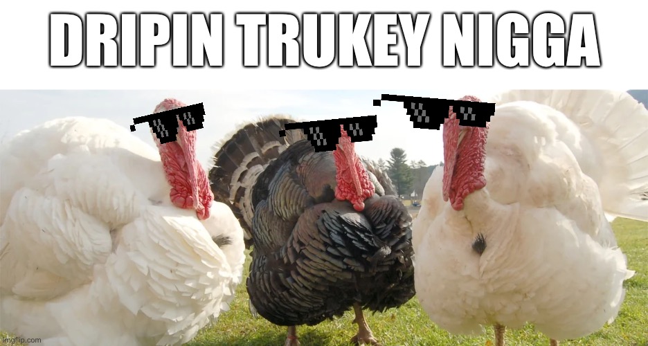 Happy thanksgiving | DRIPIN TRUKEY NIGGA | image tagged in memes,thanksgiving | made w/ Imgflip meme maker