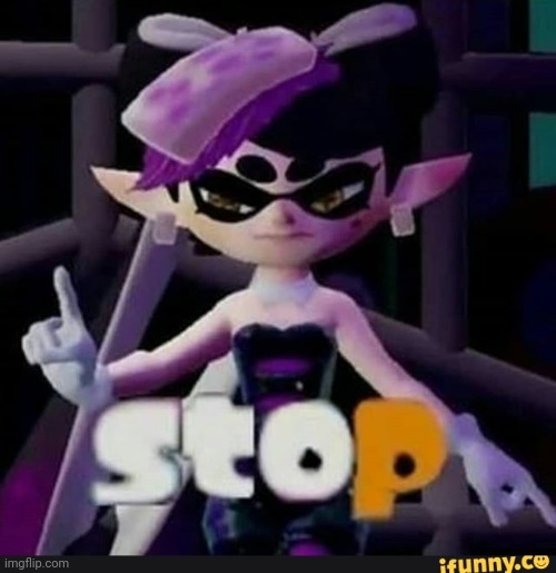 Callie Splatoon STOP | image tagged in callie splatoon stop | made w/ Imgflip meme maker