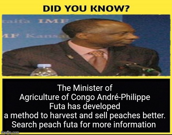The Minister of Agriculture of Congo André-Philippe Futa has developed a method to harvest and sell peaches better.

Search peach futa for more information | made w/ Imgflip meme maker