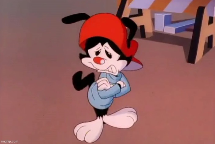 wakko | image tagged in wakko | made w/ Imgflip meme maker