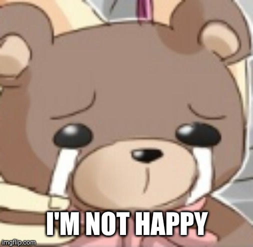 crying bear | I'M NOT HAPPY | image tagged in crying bear | made w/ Imgflip meme maker