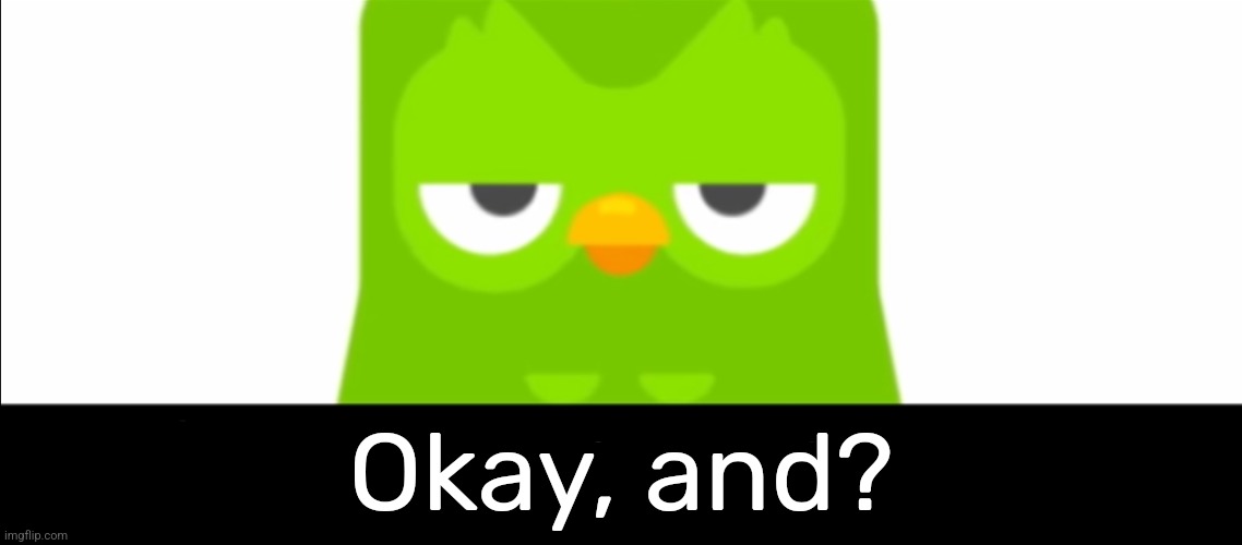 Duolingo was unimpressed | Okay, and? | image tagged in duolingo was unimpressed | made w/ Imgflip meme maker