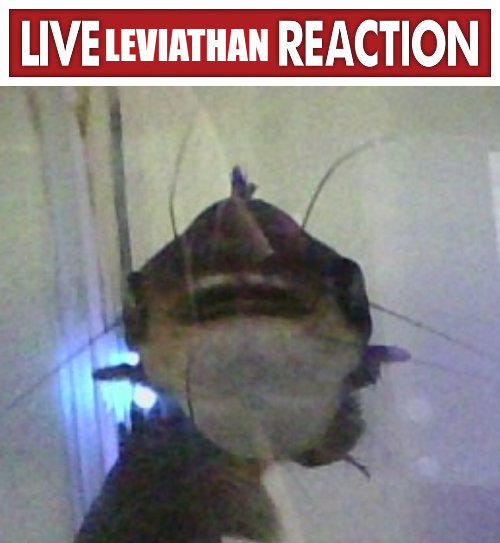 live leviathan reaction Blank Meme Template