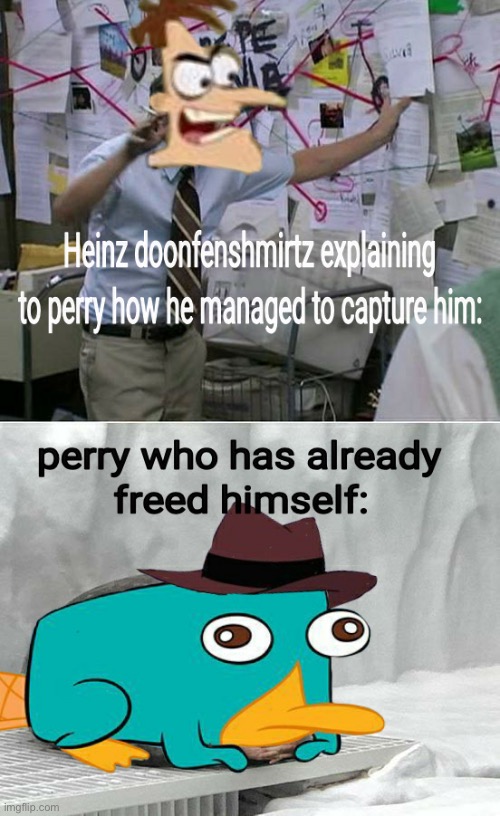 image tagged in phineas and ferb,perry the platypus,behold dr doofenshmirtz | made w/ Imgflip meme maker