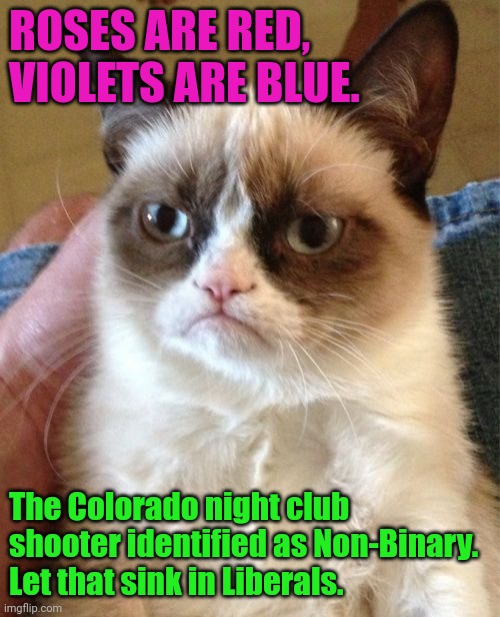 Grumpy Cat | ROSES ARE RED,
VIOLETS ARE BLUE. The Colorado night club shooter identified as Non-Binary.
Let that sink in Liberals. | image tagged in memes,grumpy cat | made w/ Imgflip meme maker