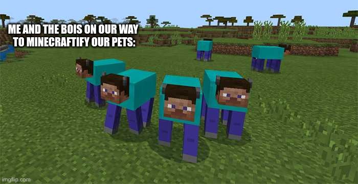 me and the boys | ME AND THE BOIS ON OUR WAY 
TO MINECRAFTIFY OUR PETS: | image tagged in me and the boys | made w/ Imgflip meme maker