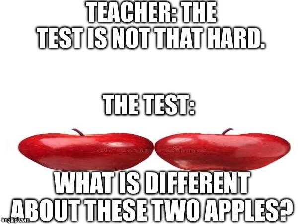 TEACHER: THE TEST IS NOT THAT HARD. THE TEST:; WHAT IS DIFFERENT ABOUT THESE TWO APPLES? | made w/ Imgflip meme maker