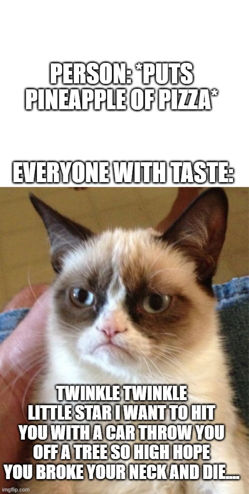 Pizza | PERSON: *PUTS PINEAPPLE OF PIZZA*; EVERYONE WITH TASTE:; TWINKLE TWINKLE LITTLE STAR I WANT TO HIT YOU WITH A CAR THROW YOU OFF A TREE SO HIGH HOPE YOU BROKE YOUR NECK AND DIE.... | image tagged in memes,grumpy cat | made w/ Imgflip meme maker