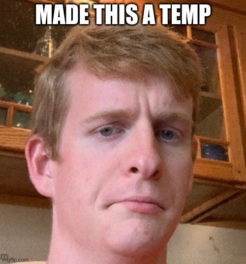thp | MADE THIS A TEMP | image tagged in thp | made w/ Imgflip meme maker