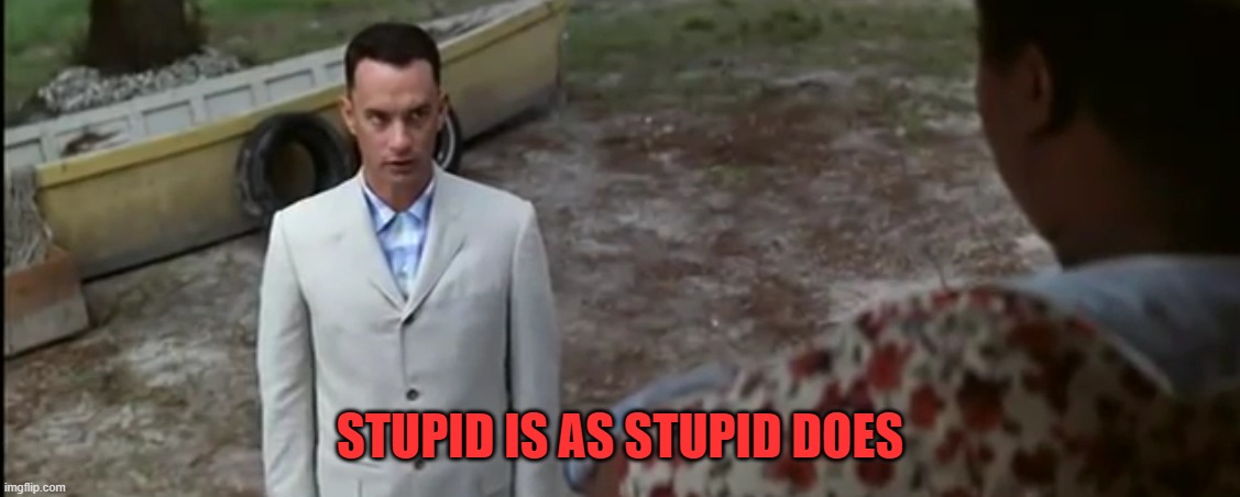 Stupid is as stupid does | STUPID IS AS STUPID DOES | image tagged in stupid is as stupid does | made w/ Imgflip meme maker