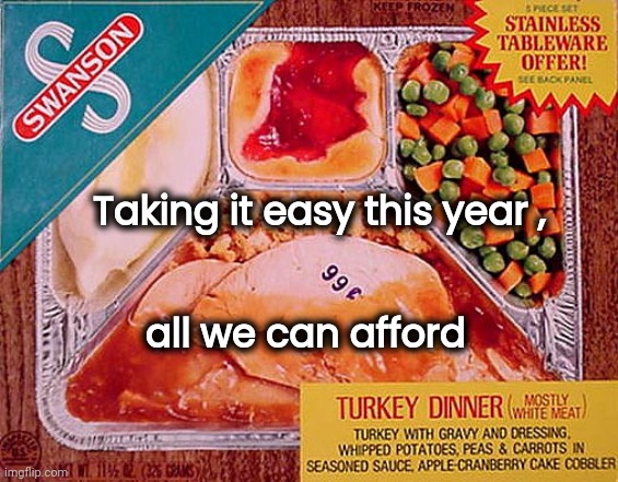 Thanks again , Joe |  Taking it easy this year , all we can afford | image tagged in thanksgiving,inflation,broke man,turkey day,well yes but actually no | made w/ Imgflip meme maker
