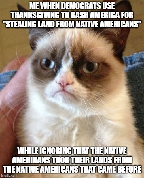 Grumpy Cat | ME WHEN DEMOCRATS USE THANKSGIVING TO BASH AMERICA FOR "STEALING LAND FROM NATIVE AMERICANS"; WHILE IGNORING THAT THE NATIVE AMERICANS TOOK THEIR LANDS FROM THE NATIVE AMERICANS THAT CAME BEFORE | image tagged in memes,grumpy cat | made w/ Imgflip meme maker