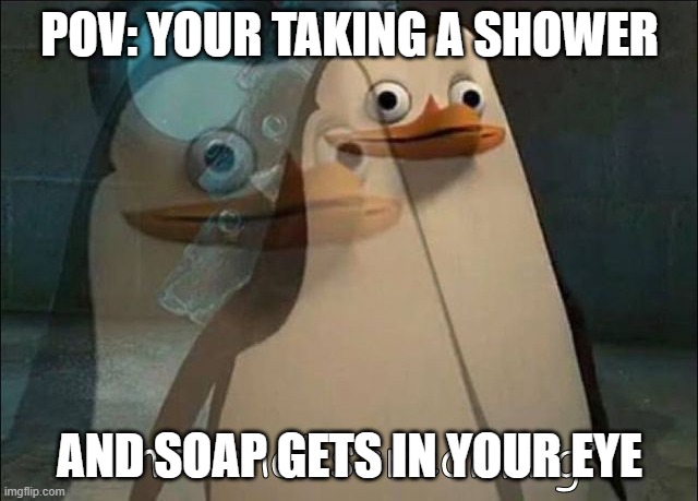 Private Internal Screaming | POV: YOUR TAKING A SHOWER; AND SOAP GETS IN YOUR EYE | image tagged in private internal screaming | made w/ Imgflip meme maker