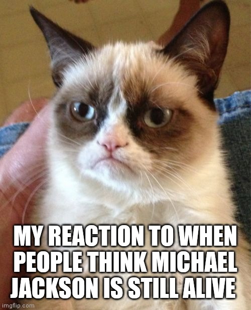 He's been in heaven for almost 14 years now STOP believing these rumors | MY REACTION TO WHEN PEOPLE THINK MICHAEL JACKSON IS STILL ALIVE | image tagged in memes,grumpy cat,funny memes | made w/ Imgflip meme maker