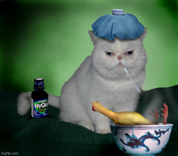 nyquil chicken | image tagged in sick cat | made w/ Imgflip meme maker