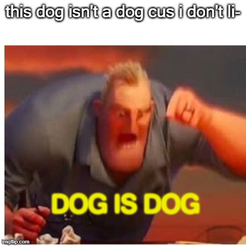 DOG IS DOG | this dog isn't a dog cus i don't li-; DOG IS DOG | image tagged in oh wow are you actually reading these tags | made w/ Imgflip meme maker