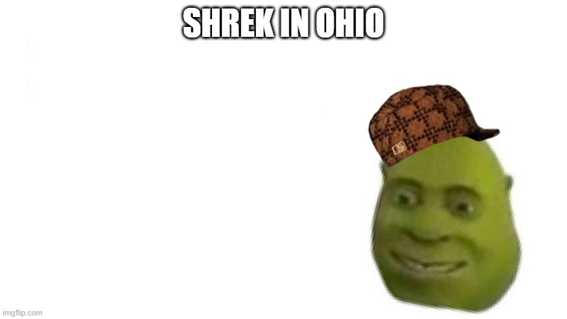 ohio | SHREK IN OHIO | image tagged in shrek flex | made w/ Imgflip meme maker