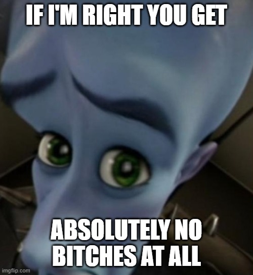 Megamind no bitches | IF I'M RIGHT YOU GET; ABSOLUTELY NO BITCHES AT ALL | image tagged in megamind no bitches | made w/ Imgflip meme maker