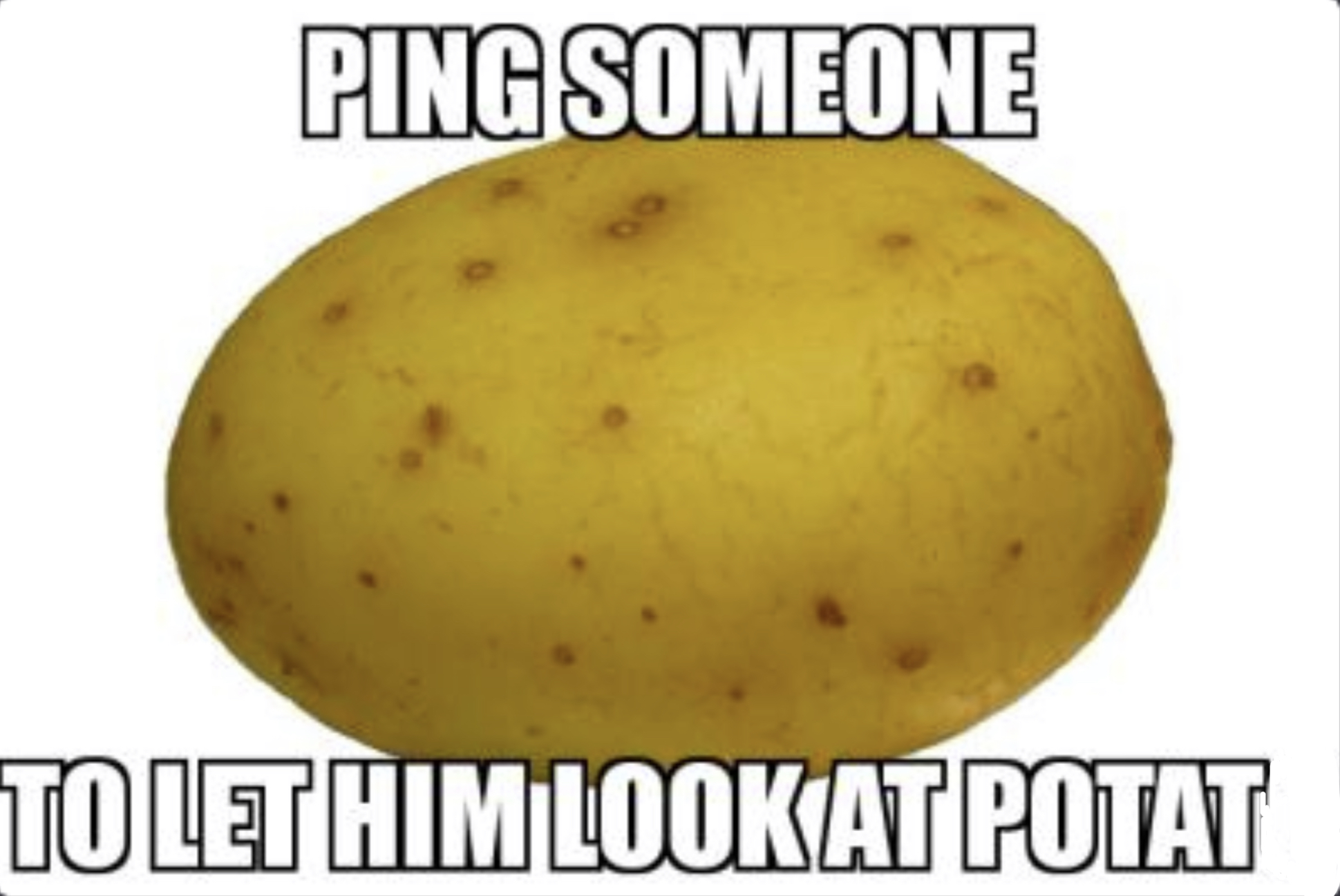 High Quality potat Blank Meme Template