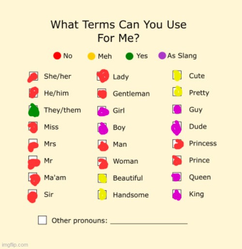 Pronouns Sheet | image tagged in pronouns sheet | made w/ Imgflip meme maker